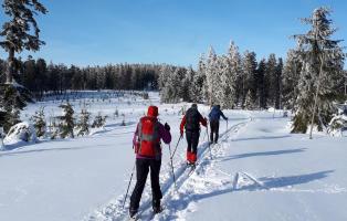 Langlauf im Böhmerwald