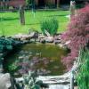 weitere Gartenansicht