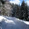 Winterimpressionen
